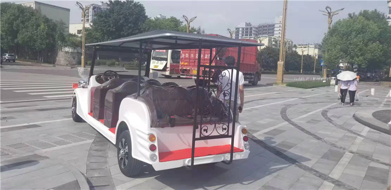 金尼特锂電池貴賓老爺車外(wài)形