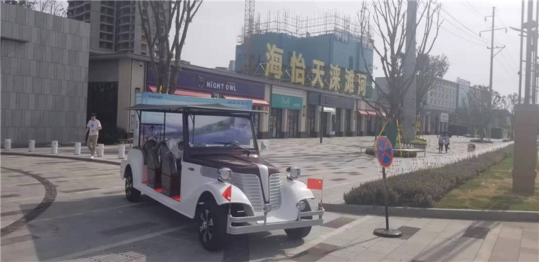 金尼特新能源汽車-锂電池貴賓老爺車